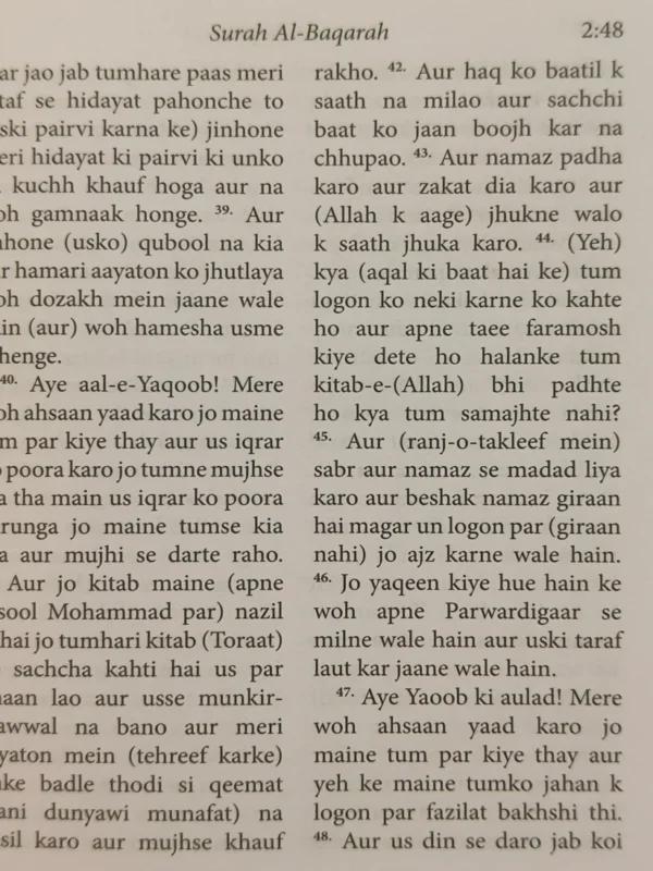 The Quran Roman Urdu - Image 2