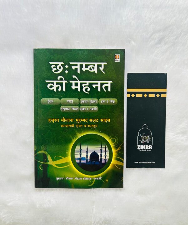 6 Number ki Mehnat