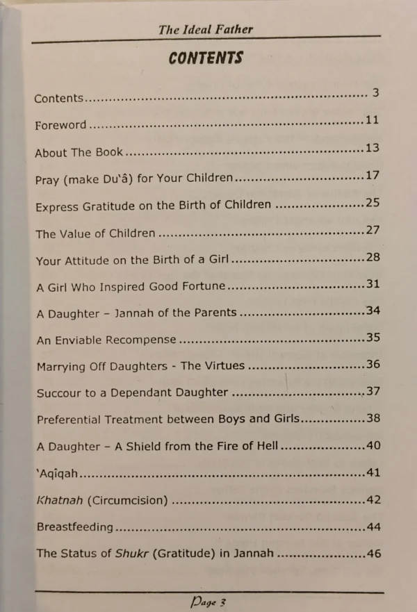 Ideal Father - Image 3